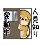 柴犬さん 2025 「ネガティブ・いじけ虫」（個別スタンプ：33）