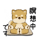 柴犬さん 2025 「ネガティブ・いじけ虫」（個別スタンプ：36）