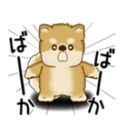 柴犬さん 2025 「ネガティブ・いじけ虫」（個別スタンプ：40）
