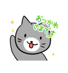【日常会話】茶白くんとサバ白ちゃん（個別スタンプ：8）