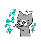 【日常会話】茶白くんとサバ白ちゃん（個別スタンプ：9）