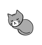 【日常会話】茶白くんとサバ白ちゃん（個別スタンプ：14）