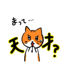 【日常会話】茶白くんとサバ白ちゃん（個別スタンプ：18）
