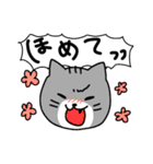 【日常会話】茶白くんとサバ白ちゃん（個別スタンプ：22）