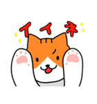 【日常会話】茶白くんとサバ白ちゃん（個別スタンプ：24）