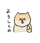 毎日使える広島弁のマルちゃんたち（個別スタンプ：5）