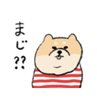 毎日使える広島弁のマルちゃんたち（個別スタンプ：8）