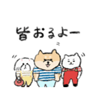 毎日使える広島弁のマルちゃんたち（個別スタンプ：29）