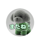 アッシュグレーな動物たちスタンプ（個別スタンプ：3）