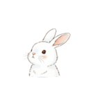 キッズ向けイラストスタンプ（個別スタンプ：14）