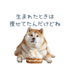 実写デブ柴犬【面白い・ダイエット】（個別スタンプ：10）