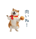 実写デブ柴犬【面白い・ダイエット】（個別スタンプ：12）