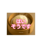[動画]中国語超便利会話集02（個別スタンプ：13）
