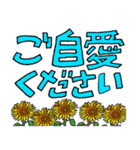 おじいさんスタンプさぶろうデカ文字修正版（個別スタンプ：14）