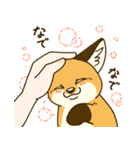 にこニコ日和（個別スタンプ：14）