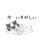 フレンチブルドッグと猫【普段使い】（個別スタンプ：19）