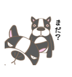 フレンチブルドッグと猫【普段使い】（個別スタンプ：20）