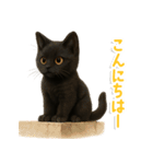 使いやすい！黒猫スタンプ敬語あり（個別スタンプ：3）