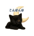 使いやすい！黒猫スタンプ敬語あり（個別スタンプ：4）