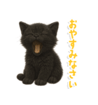 使いやすい！黒猫スタンプ敬語あり（個別スタンプ：5）