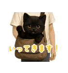 使いやすい！黒猫スタンプ敬語あり（個別スタンプ：6）