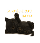 使いやすい！黒猫スタンプ敬語あり（個別スタンプ：7）