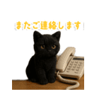 使いやすい！黒猫スタンプ敬語あり（個別スタンプ：11）
