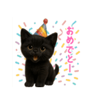 使いやすい！黒猫スタンプ敬語あり（個別スタンプ：15）