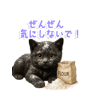 使いやすい！黒猫スタンプ敬語あり（個別スタンプ：18）