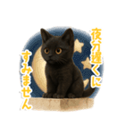 使いやすい！黒猫スタンプ敬語あり（個別スタンプ：20）