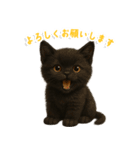 使いやすい！黒猫スタンプ敬語あり（個別スタンプ：22）