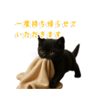 使いやすい！黒猫スタンプ敬語あり（個別スタンプ：28）