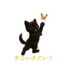 使いやすい！黒猫スタンプ敬語あり（個別スタンプ：30）