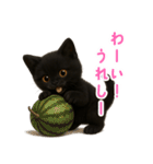 使いやすい！黒猫スタンプ敬語あり（個別スタンプ：31）