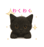 使いやすい！黒猫スタンプ敬語あり（個別スタンプ：32）