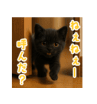 使いやすい！黒猫スタンプ敬語あり（個別スタンプ：34）