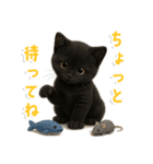 使いやすい！黒猫スタンプ敬語あり（個別スタンプ：36）
