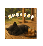 使いやすい！黒猫スタンプ敬語あり（個別スタンプ：37）