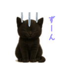 使いやすい！黒猫スタンプ敬語あり（個別スタンプ：39）