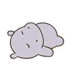 いびきカバ 夢の国（個別スタンプ：8）