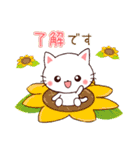 ❤気遣いにゃんこの暑い夏❤（個別スタンプ：6）