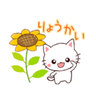 ❤気遣いにゃんこの暑い夏❤（個別スタンプ：7）