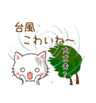 ❤気遣いにゃんこの暑い夏❤（個別スタンプ：36）