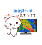 ❤気遣いにゃんこの暑い夏❤（個別スタンプ：37）