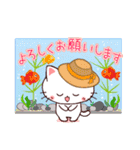 ❤気遣いにゃんこの暑い夏❤（個別スタンプ：40）
