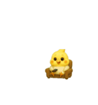 動く無言オカメインコ5（個別スタンプ：14）