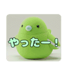 みなみちゃんと鳥ちゃんプレミアムセット（個別スタンプ：13）