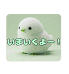 みなみちゃんと鳥ちゃんプレミアムセット（個別スタンプ：15）