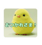 みなみちゃんと鳥ちゃんプレミアムセット（個別スタンプ：20）