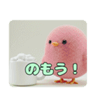 みなみちゃんと鳥ちゃんプレミアムセット（個別スタンプ：21）